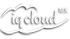 iqcloud